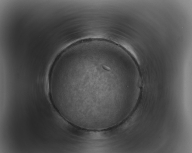 X0000089721080200706281526