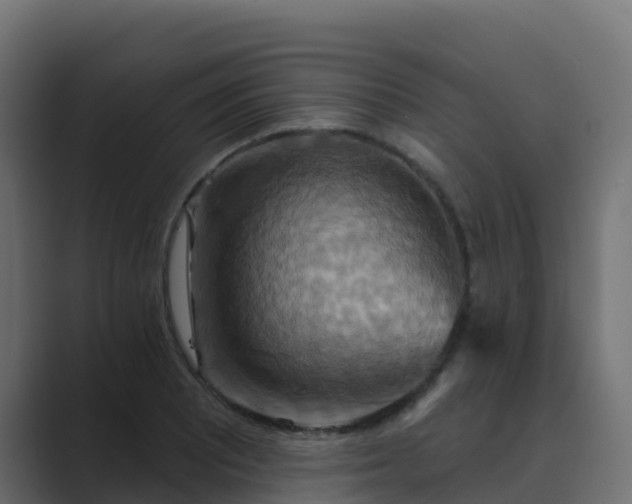 X0000089721081200706281526