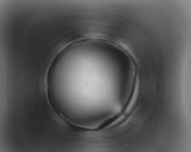 X0000089721082200706281526