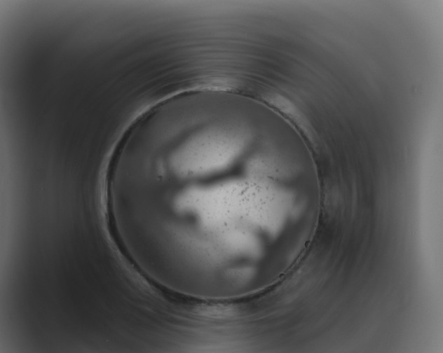 X0000089721083200706281526