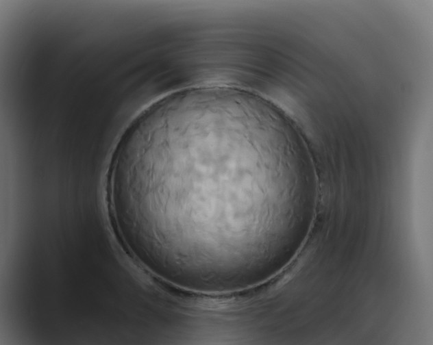 X0000089721086200706281526