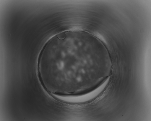 X0000089721087200706281526