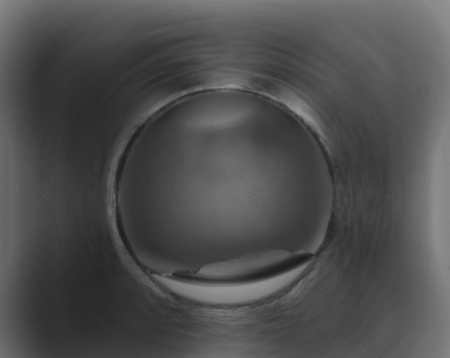 X0000089721088200706281526