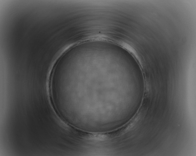 X0000089721090200706281526