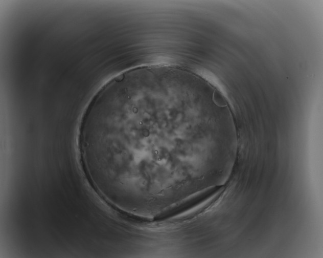 X0000089721091200706281526