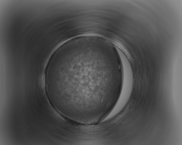 X0000089721092200706281526