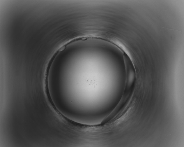X0000089721093200706281526