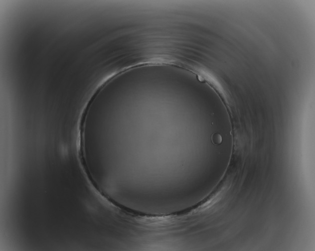 X0000089721095200706281526