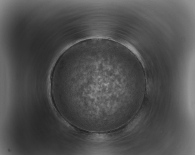 X0000089721096200706281526