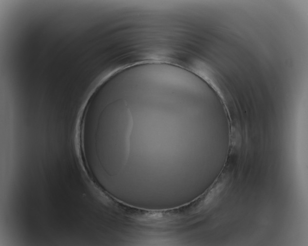 X0000089721098200706281526