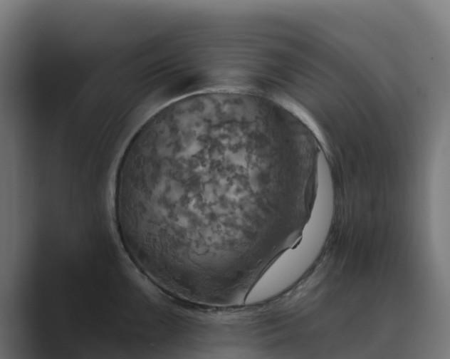 X0000089721099200706281526