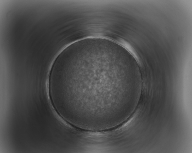 X0000089721100200706281526