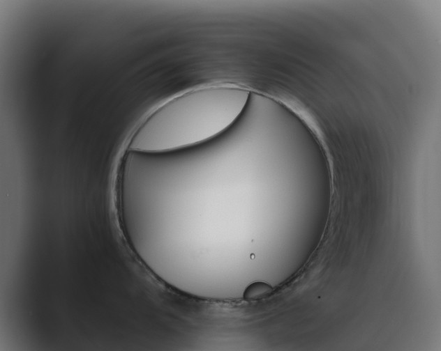 X0000089721104200706281526