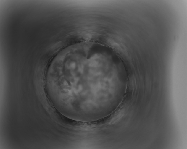 X0000089721105200706281525