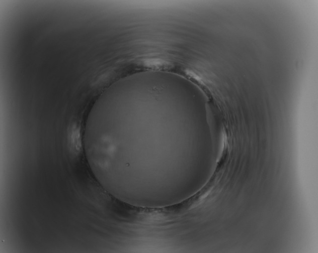 X0000089721106200706281525