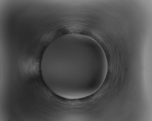 X0000089721108200706281525