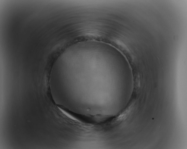 X0000089721110200706281525