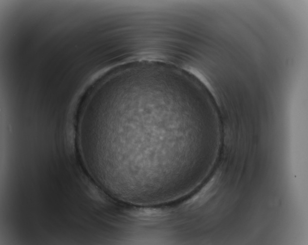 X0000089721115200706281526