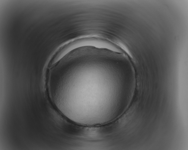 X0000089721116200706281526