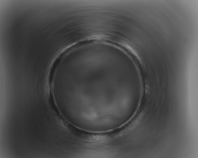 X0000089721117200706281526
