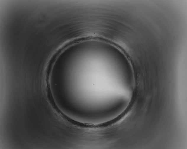 X0000089721118200706281526