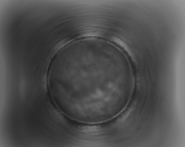 X0000089721121200706281526