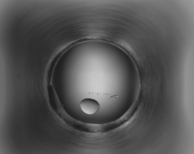 X0000089721122200706281526