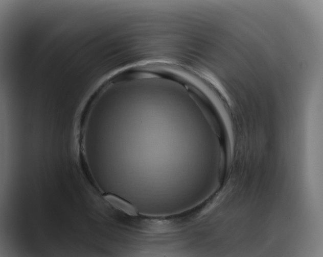 X0000089721124200706281526
