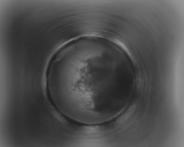 X0000089721125200706281526