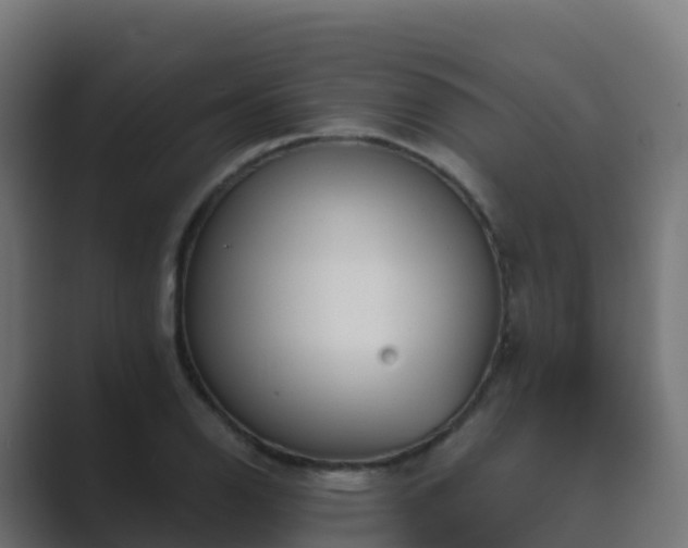 X0000089721126200706281526