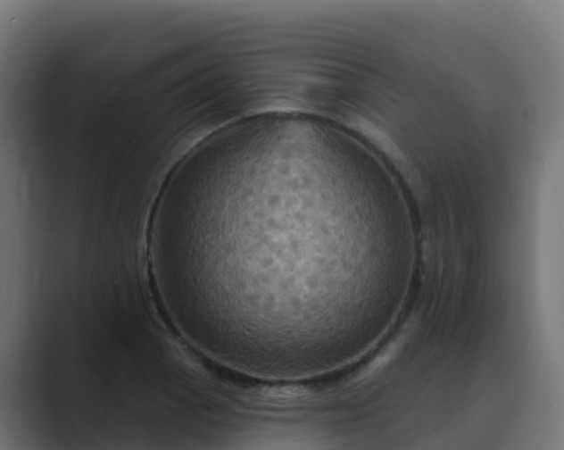X0000089721129200706281526