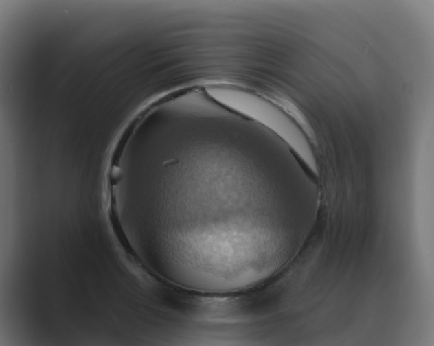 X0000089721132200706281526