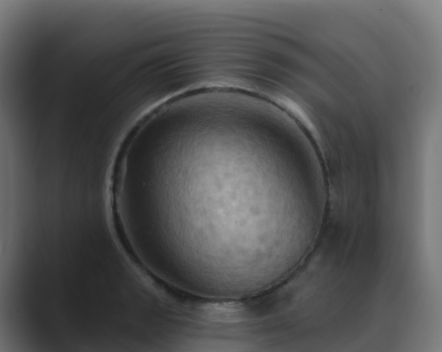 X0000089721133200706281526