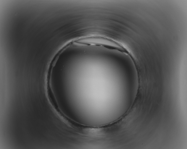 X0000089721134200706281526