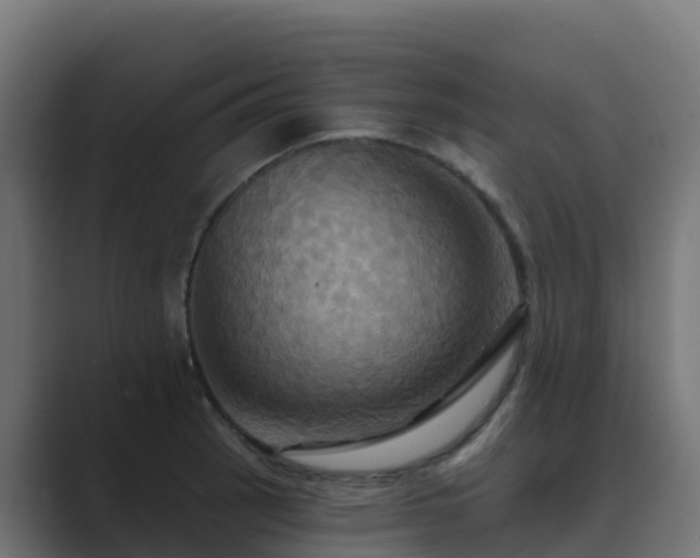 X0000089721137200706281526