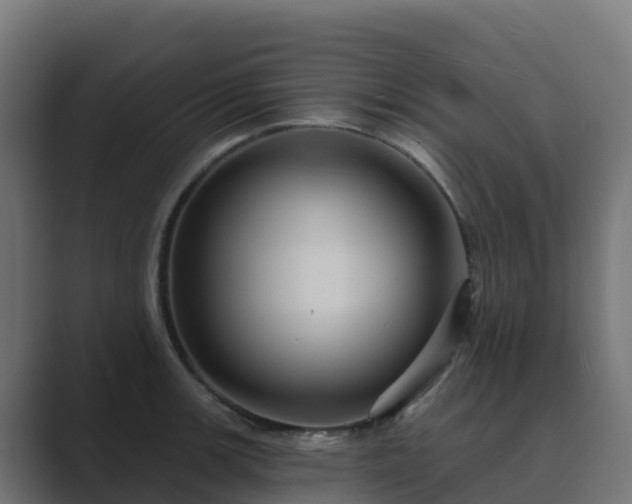X0000089721139200706281526