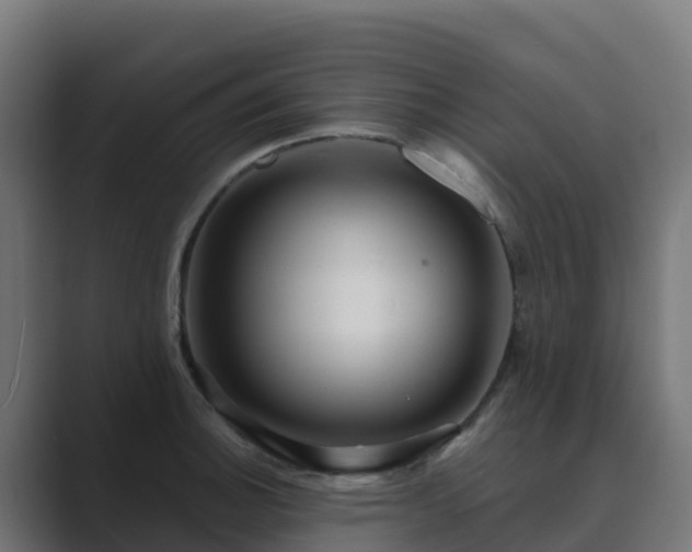 X0000089721140200706281526