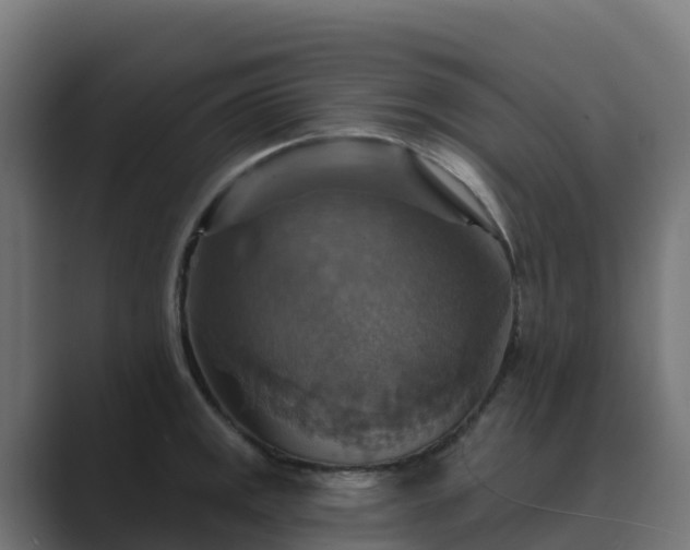 X0000089721141200706281526
