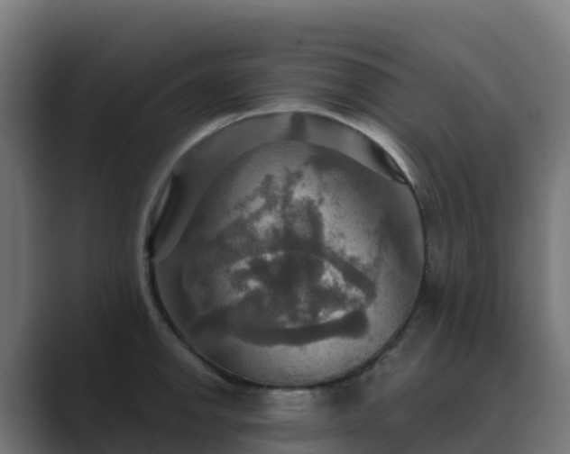 X0000089721142200706281526