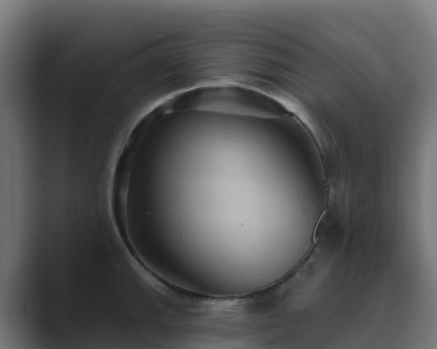 X0000089721143200706281526