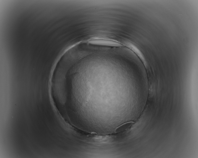 X0000089721146200706281526