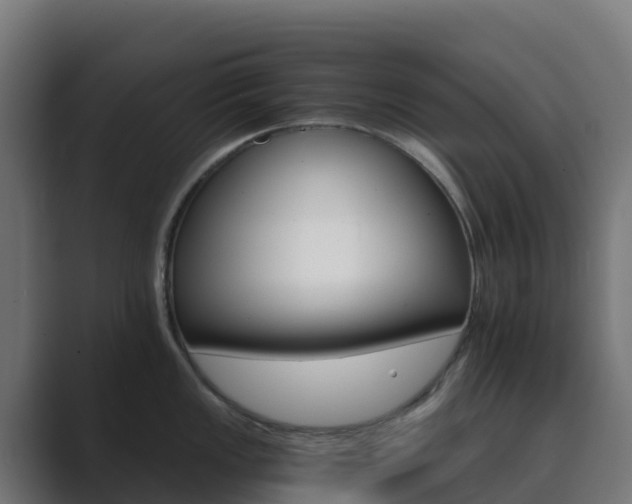 X0000089721149200706281526