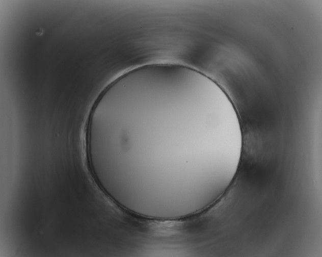X0000089721150200706281526