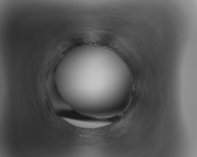 X0000089721153200706281525