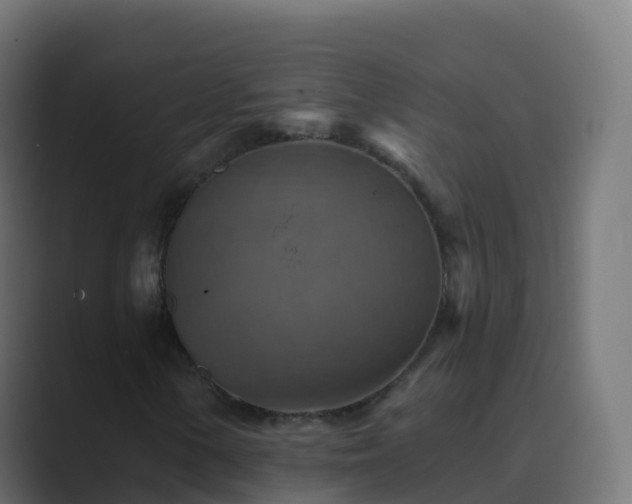 X0000089721154200706281525