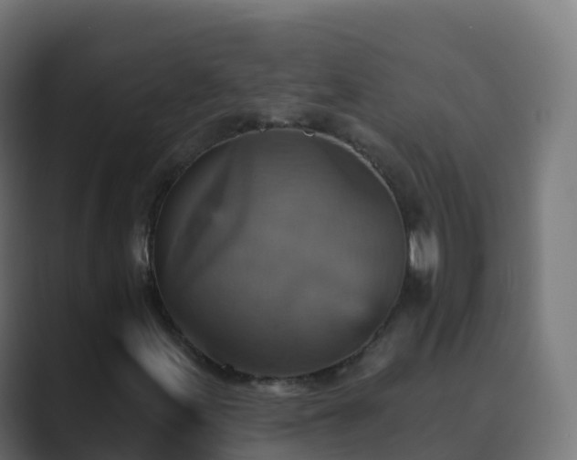 X0000089721155200706281525