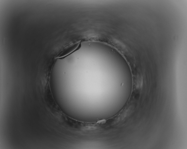 X0000089721157200706281525