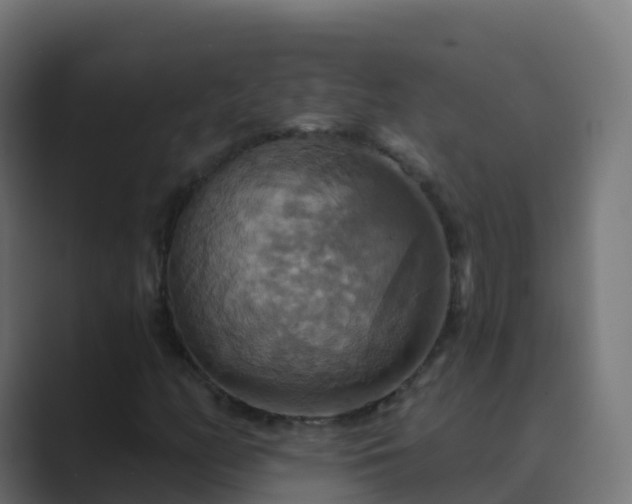 X0000089721158200706281525