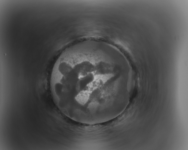 X0000089721159200706281525