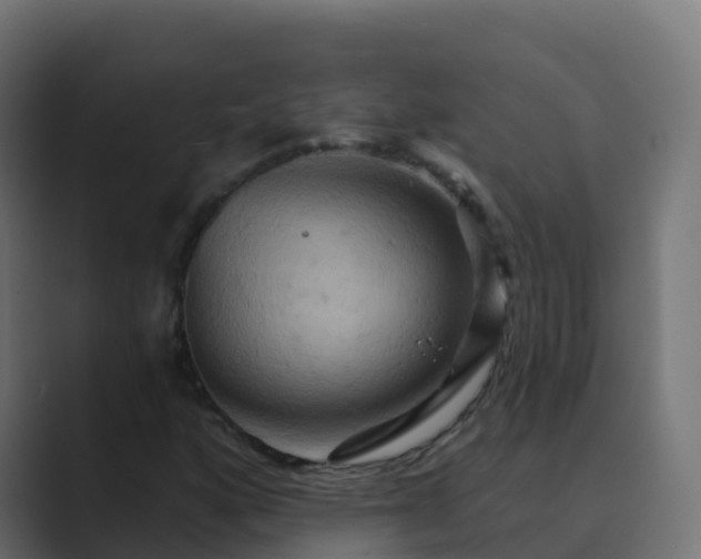 X0000089721160200706281525